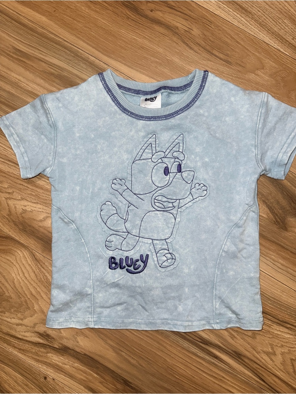 Blue 'Bluey' Short Sleeve Kids Tee